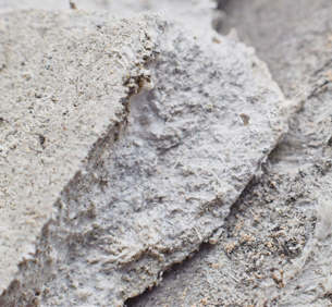 Asbestos Management Plans